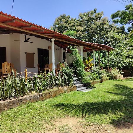 Villa Lyvie Ayurvedic Hotel Tangalle Exteriör bild